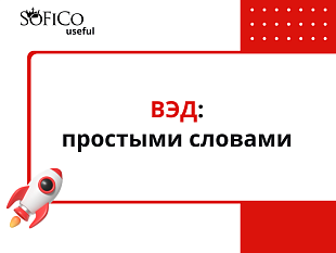 ВЭД: простыми словами для начинающих предпринимателей